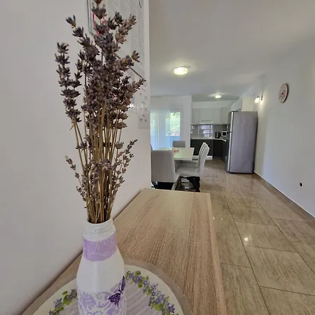 Apartman Maslina *